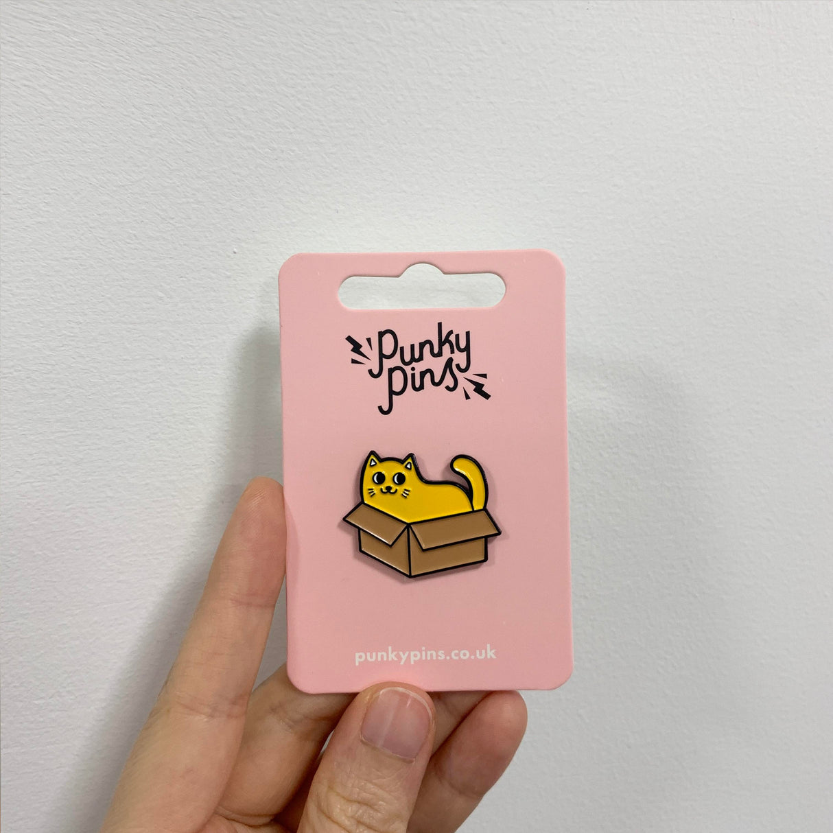 Cat in a Box Soft Enamel Pin